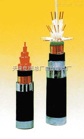 YC-JYC-J升降机电缆-YC-JYC-J升降机电缆YCW-J龙门吊专用电缆-天津电缆总厂橡塑电缆厂